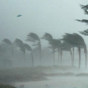 Photo 2025 07 08 09 56 55 (1)